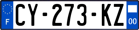 CY-273-KZ