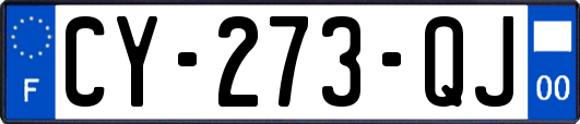 CY-273-QJ