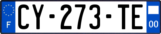 CY-273-TE