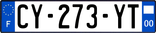 CY-273-YT