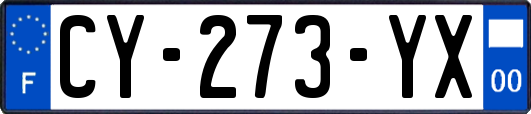 CY-273-YX
