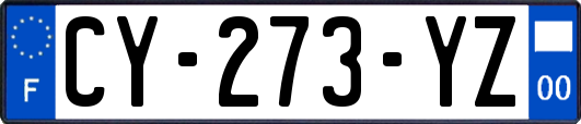CY-273-YZ