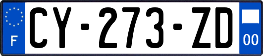 CY-273-ZD