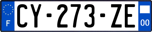 CY-273-ZE