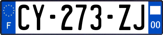 CY-273-ZJ
