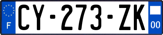 CY-273-ZK