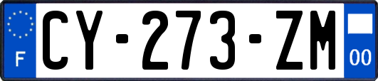 CY-273-ZM