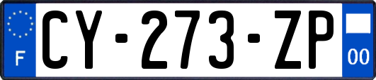 CY-273-ZP