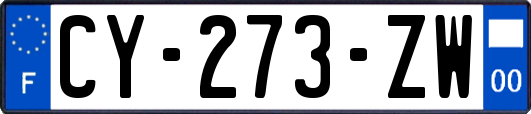 CY-273-ZW