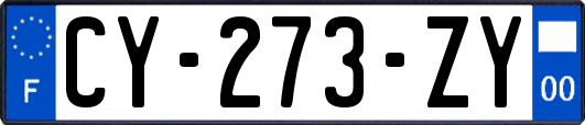 CY-273-ZY