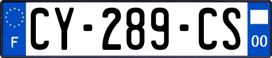 CY-289-CS
