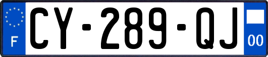 CY-289-QJ