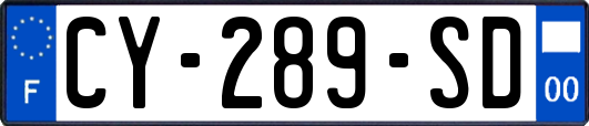 CY-289-SD