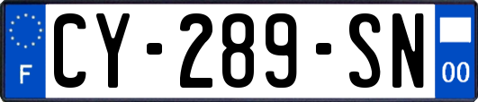 CY-289-SN