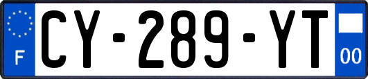 CY-289-YT