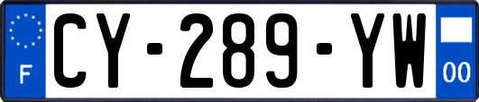 CY-289-YW