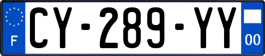 CY-289-YY