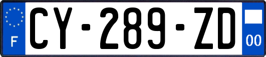 CY-289-ZD