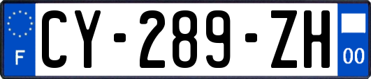 CY-289-ZH