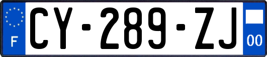 CY-289-ZJ