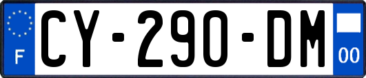 CY-290-DM