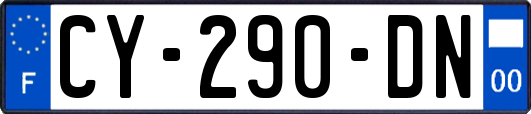CY-290-DN