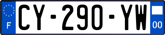 CY-290-YW