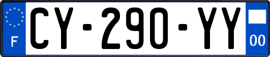 CY-290-YY
