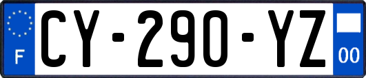 CY-290-YZ