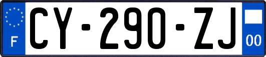 CY-290-ZJ