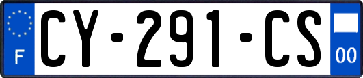CY-291-CS