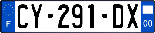 CY-291-DX