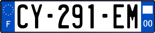 CY-291-EM