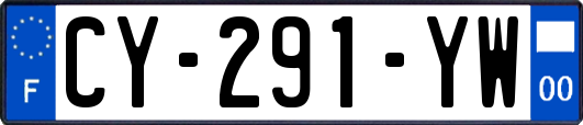 CY-291-YW