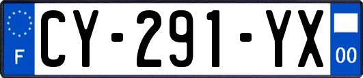 CY-291-YX