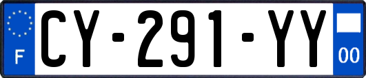 CY-291-YY