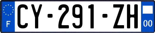 CY-291-ZH