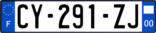 CY-291-ZJ