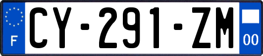 CY-291-ZM