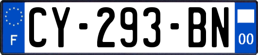 CY-293-BN