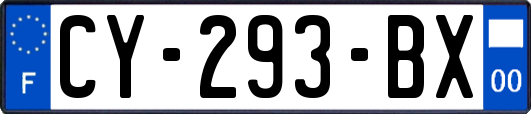 CY-293-BX