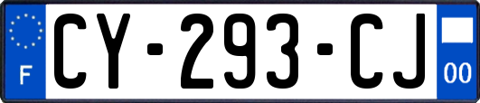 CY-293-CJ