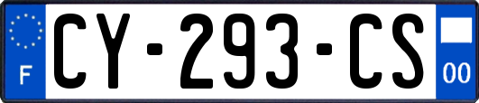 CY-293-CS