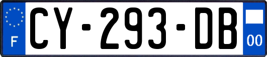 CY-293-DB
