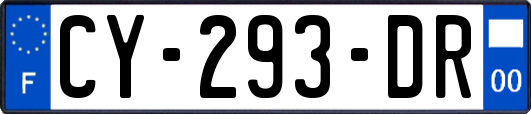 CY-293-DR