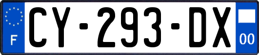 CY-293-DX