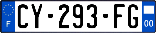 CY-293-FG