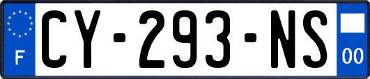 CY-293-NS