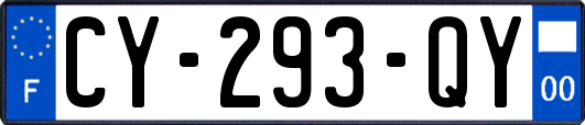 CY-293-QY