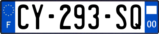 CY-293-SQ